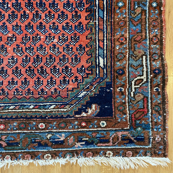 Vintage Rug, 3' 2 x 4' 11 Soft Red Orange