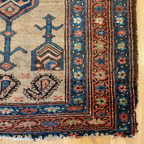 Antique Rug, 3' 4 x 6' 8 Dark Tan