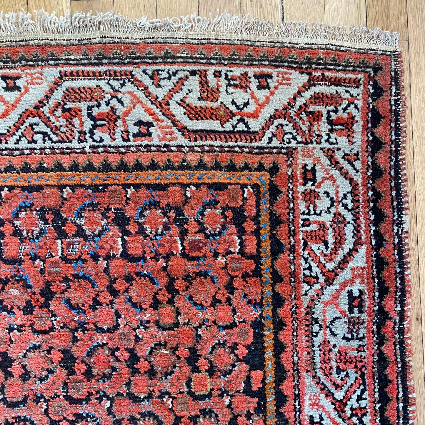 4273 - Jessie's Oriental Rugs