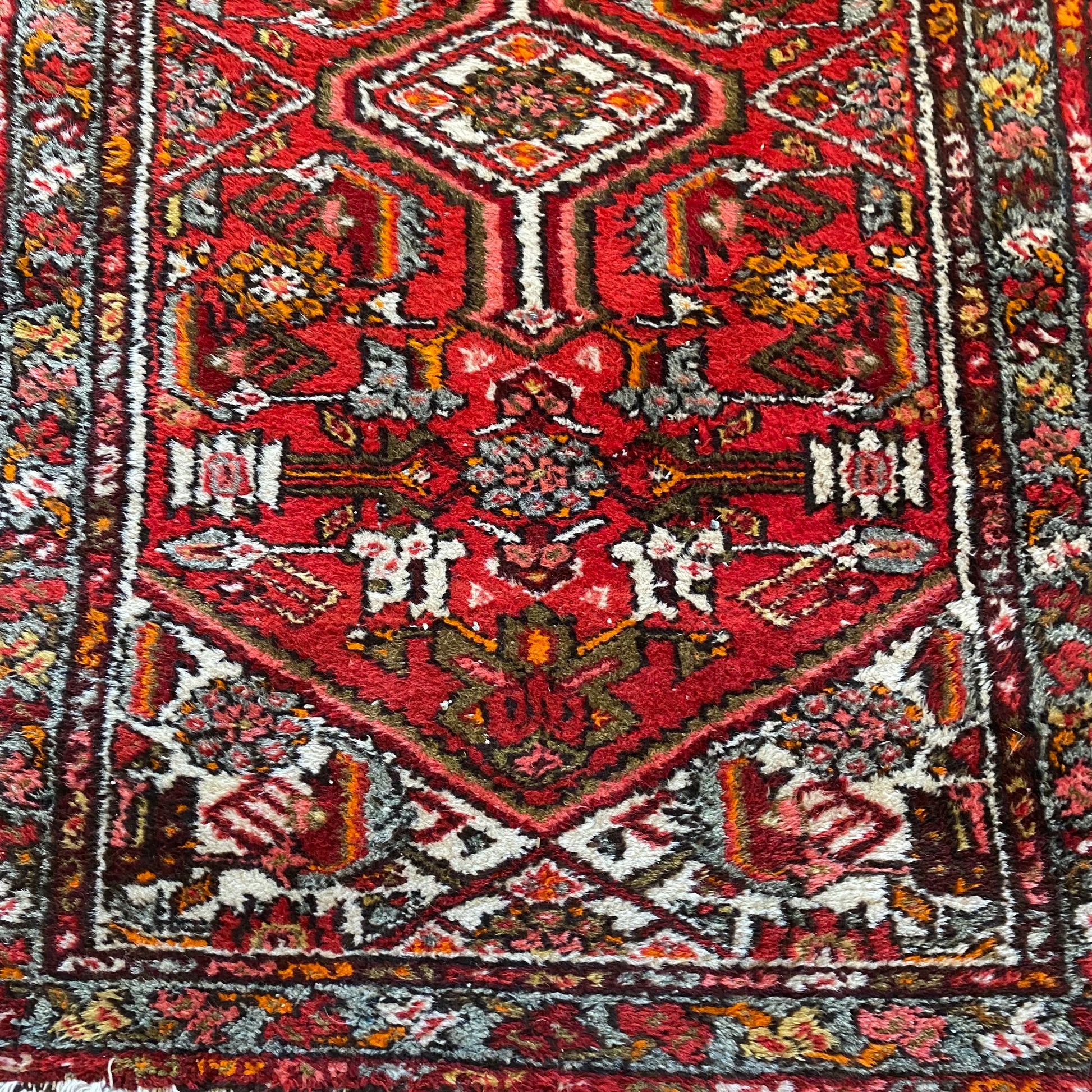 4271 - Jessie's Oriental Rugs