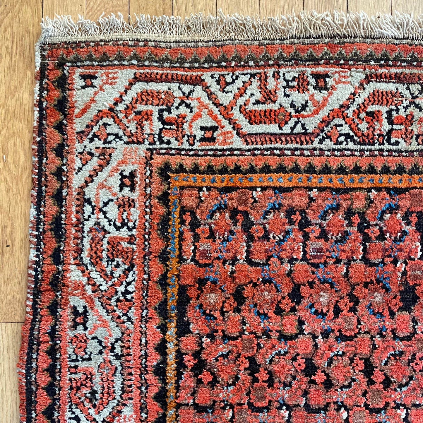 4273 - Jessie's Oriental Rugs