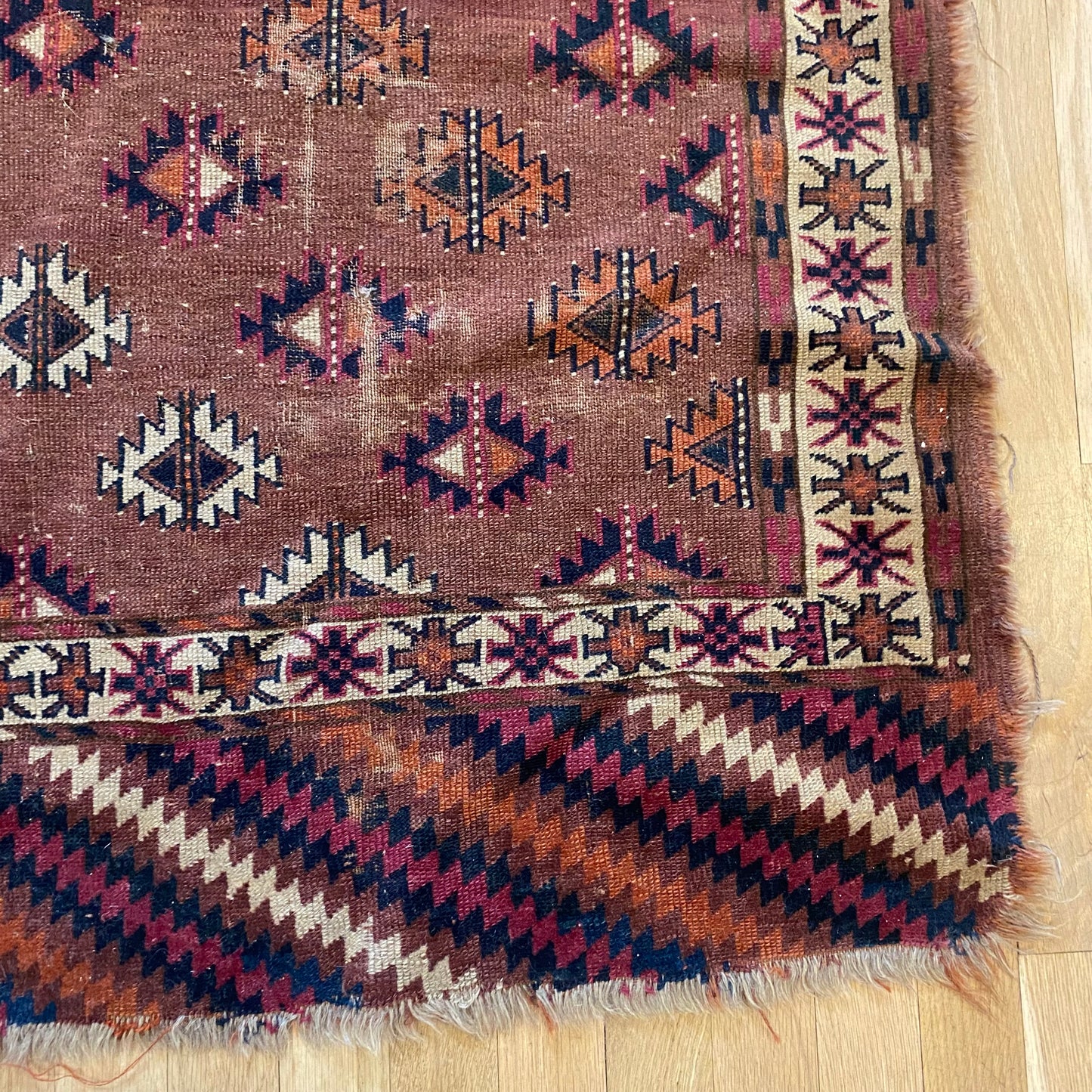 4282 - Jessie's Oriental Rugs