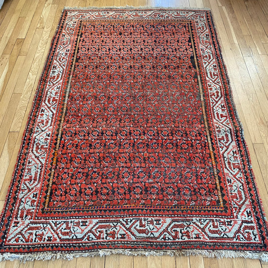 4273 - Jessie's Oriental Rugs