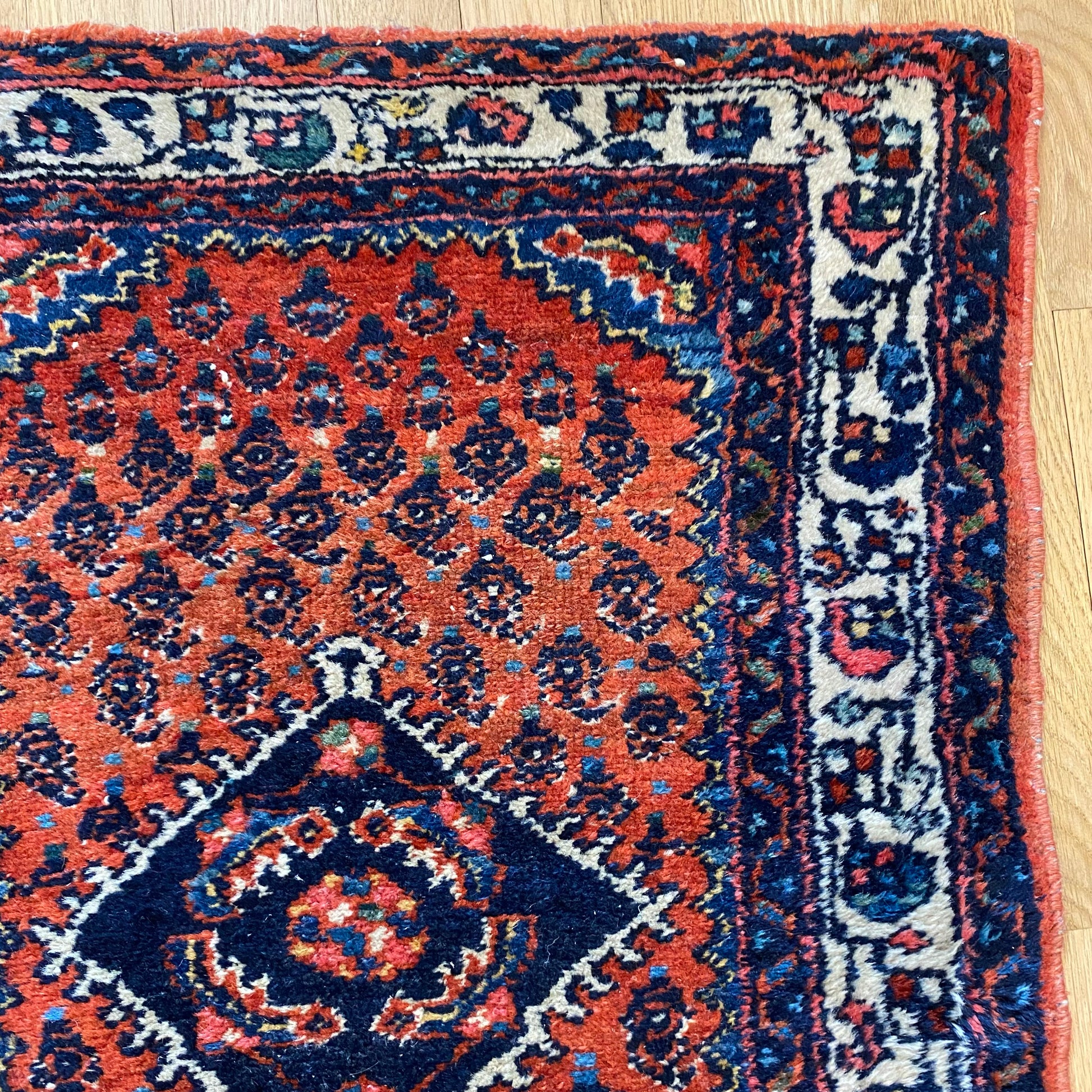 4270 - Jessie's Oriental Rugs
