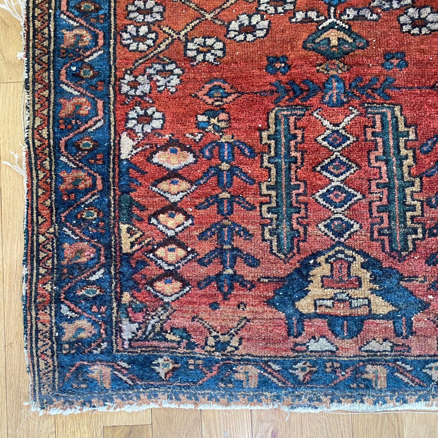 4275 - Jessie's Oriental Rugs