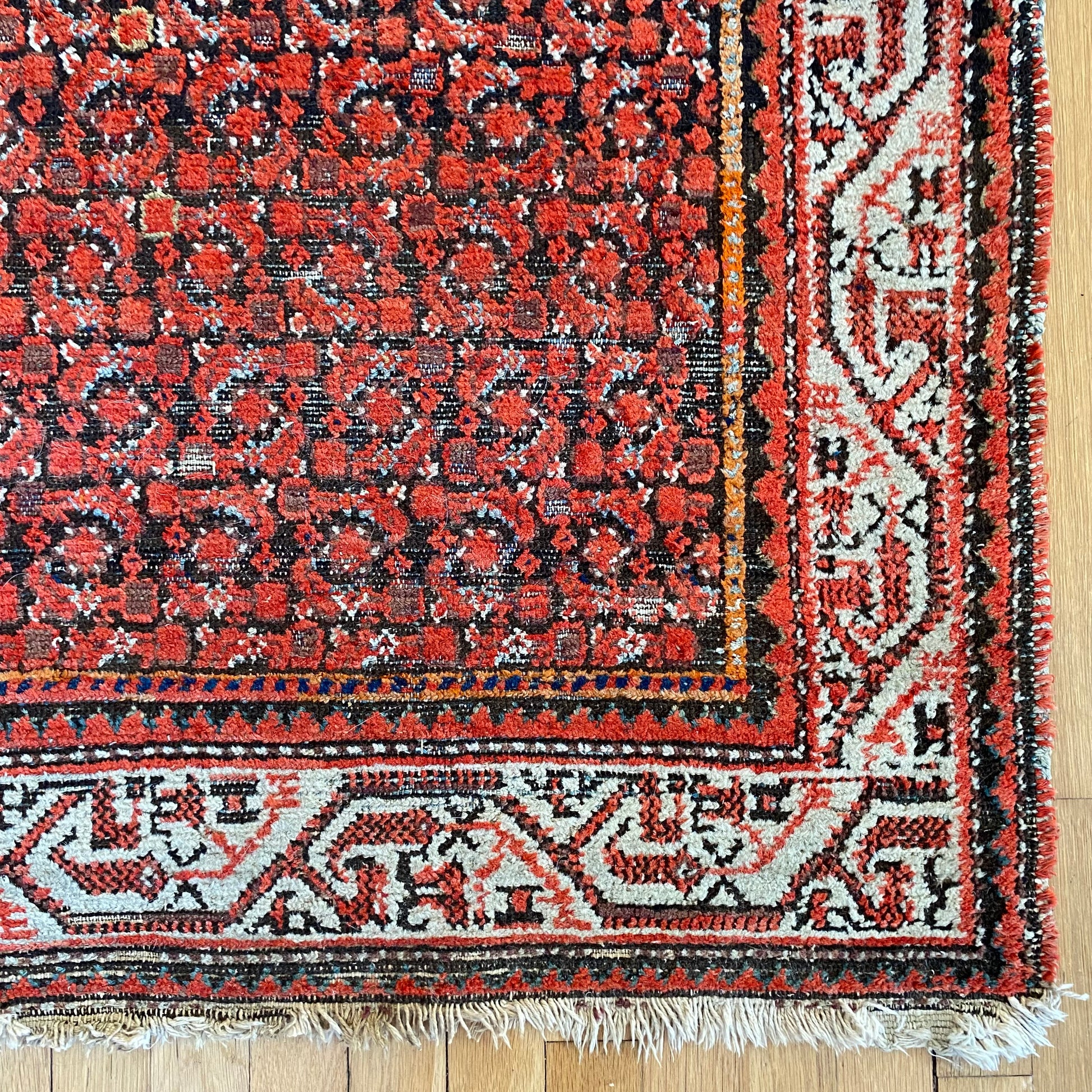 4273 - Jessie's Oriental Rugs