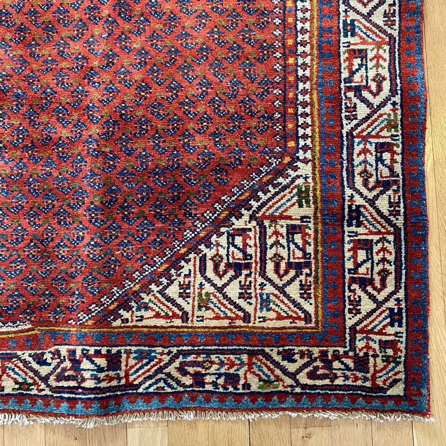 Persian Rug, 4' 6 x 6' 7 Rust