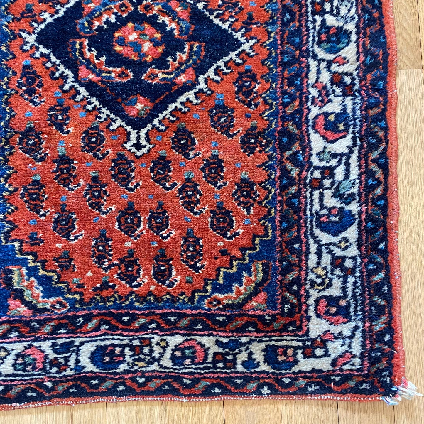 4270 - Jessie's Oriental Rugs