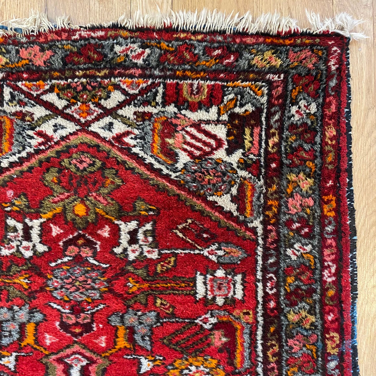 4271 - Jessie's Oriental Rugs