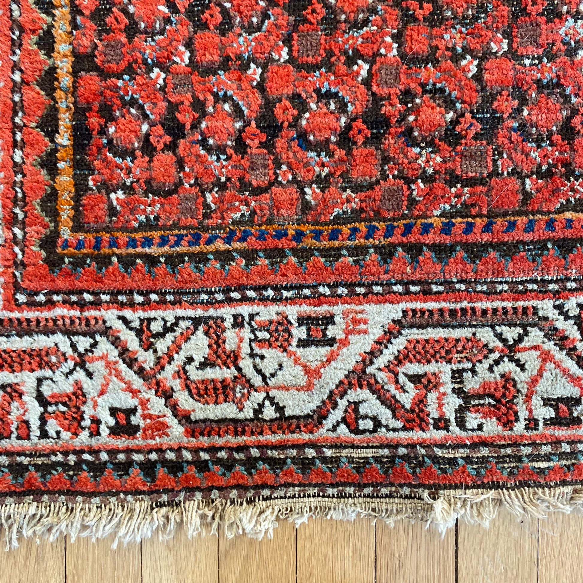 4273 - Jessie's Oriental Rugs
