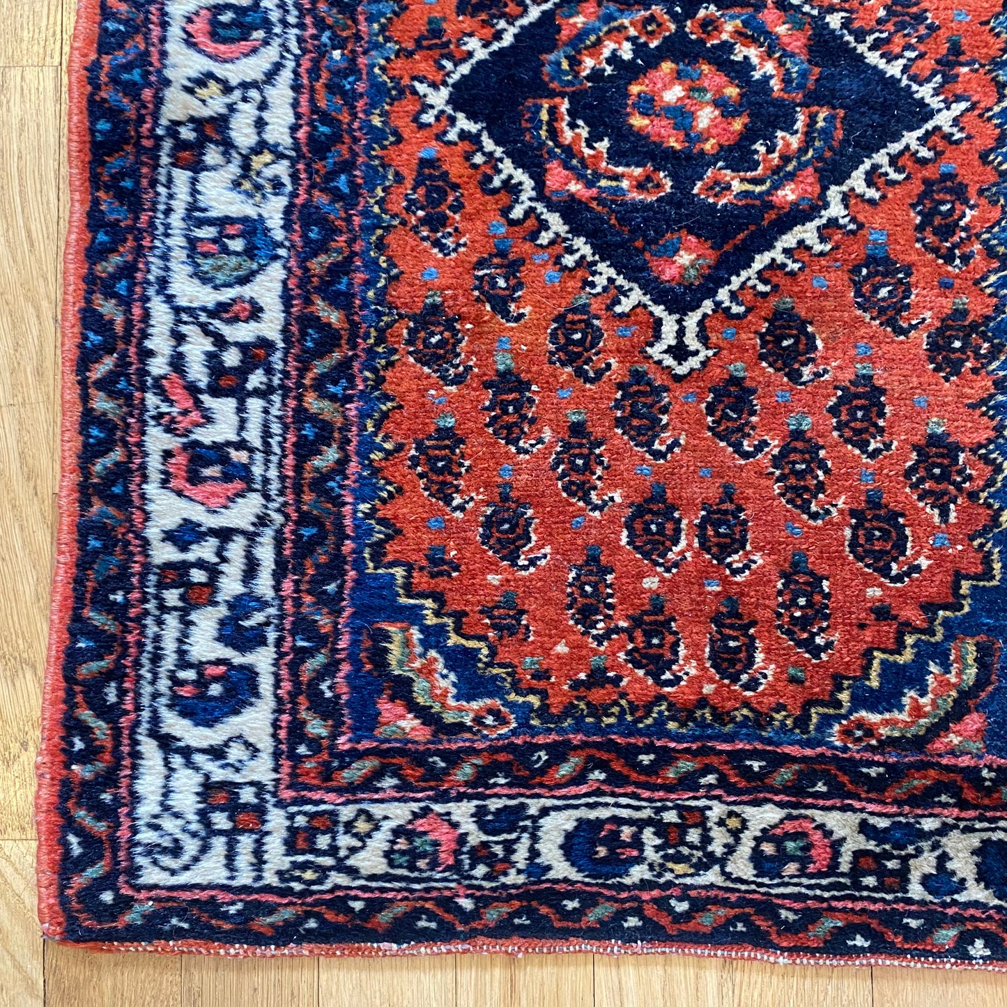 4270 - Jessie's Oriental Rugs