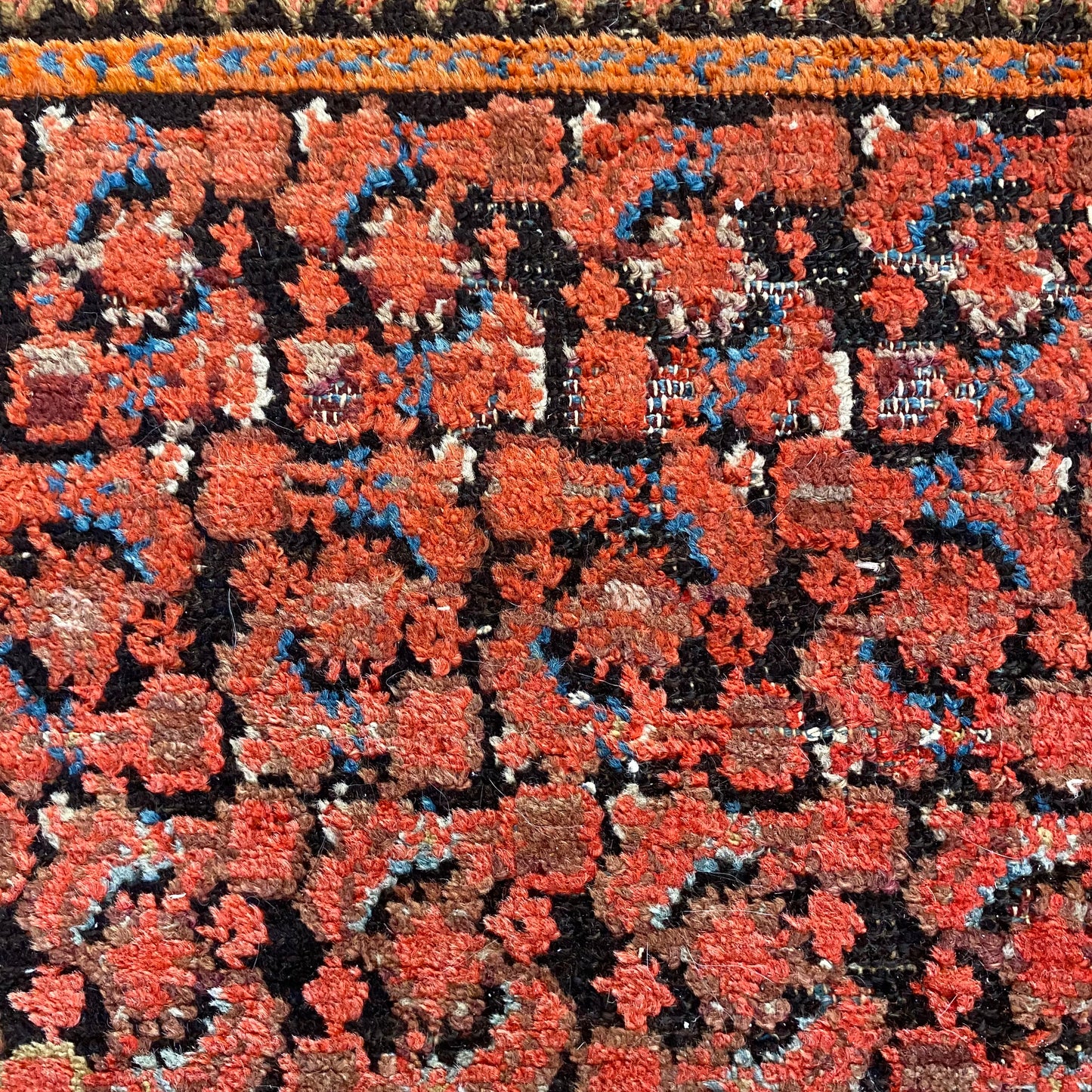 4273 - Jessie's Oriental Rugs