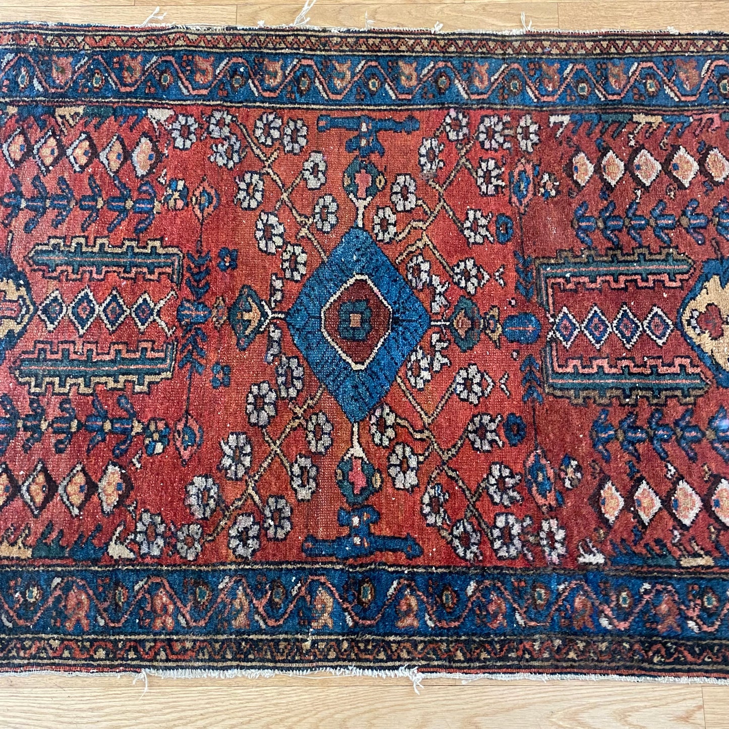 4275 - Jessie's Oriental Rugs