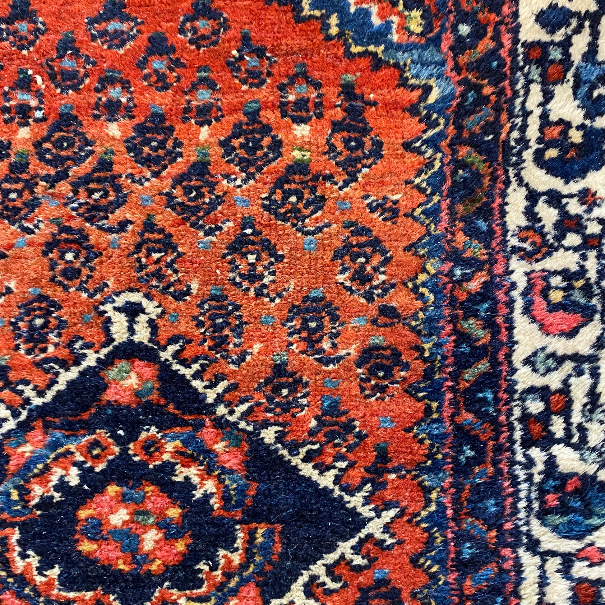 4270 - Jessie's Oriental Rugs