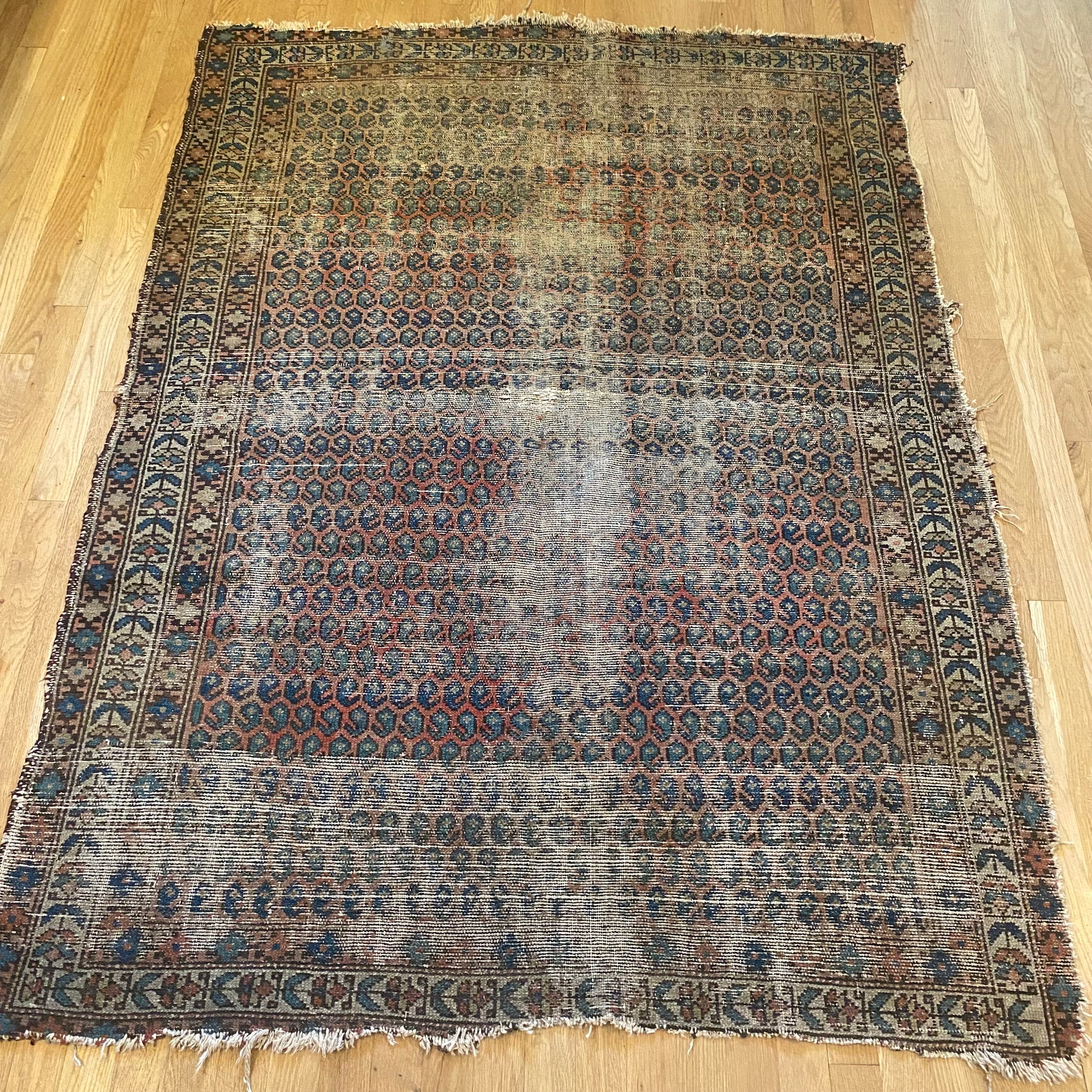 Vintage Persian Rugs & Carpets – Jessie's Oriental Rugs