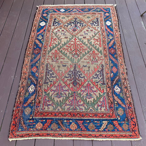 Brown Oriental Rugs