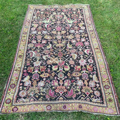 Brown Oriental Rugs