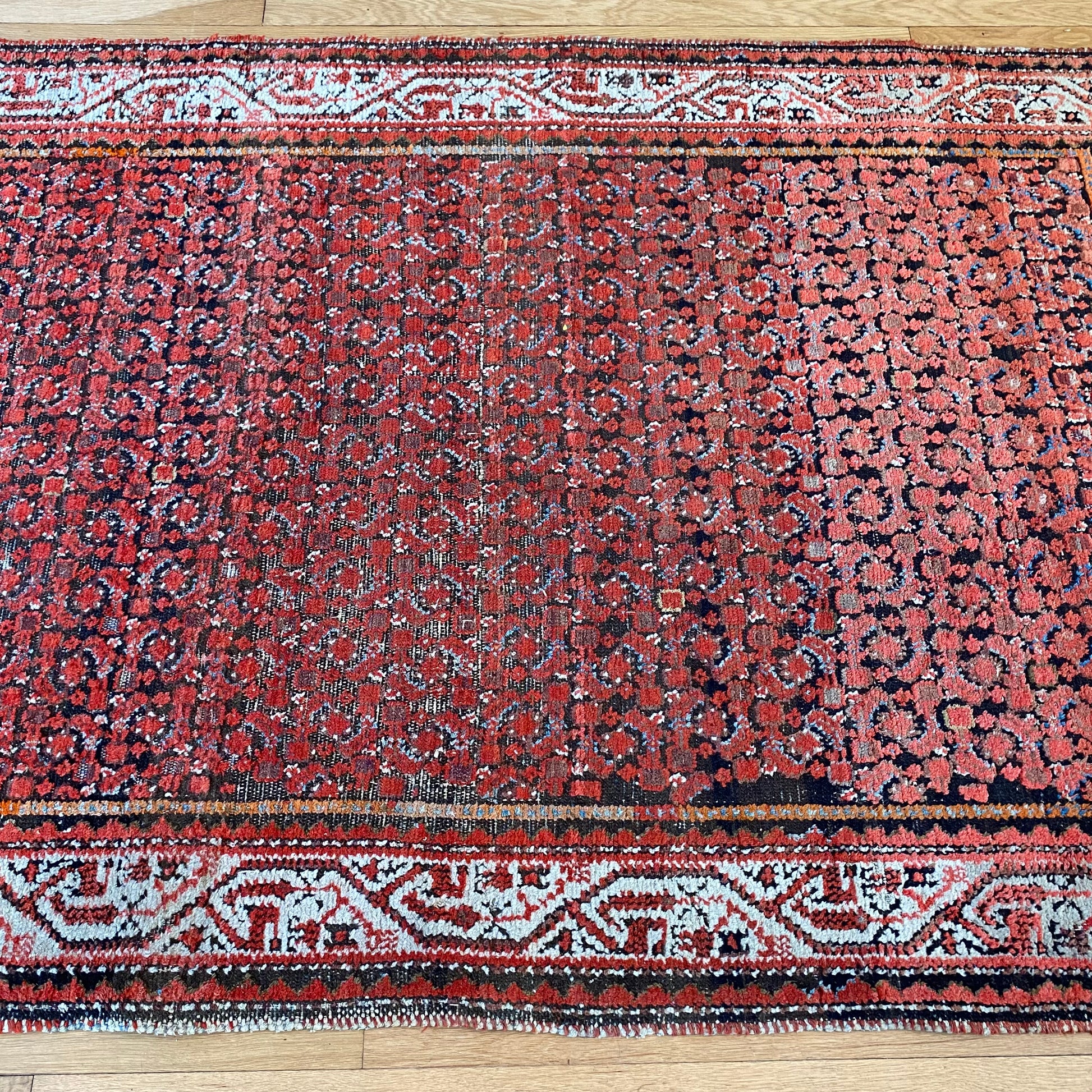 4273 - Jessie's Oriental Rugs