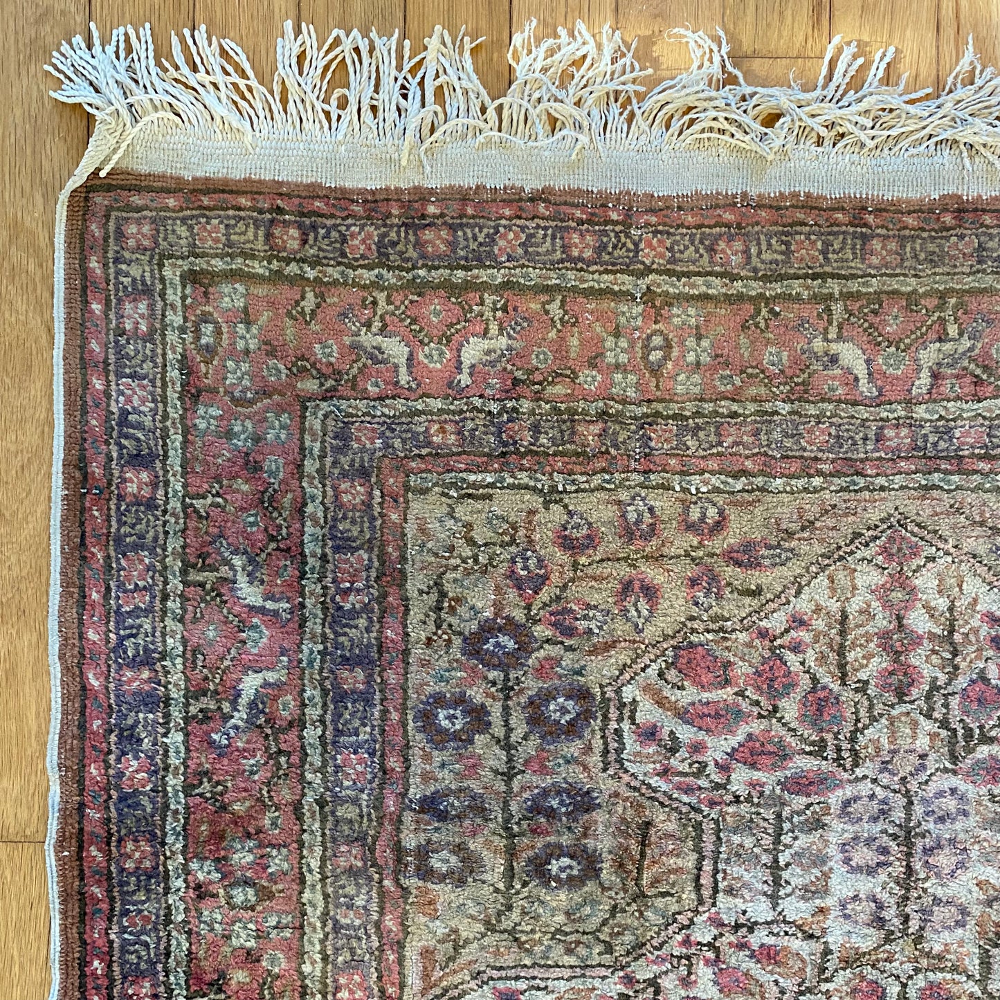 Vintage Rug, 3' x 4' 11 Cream