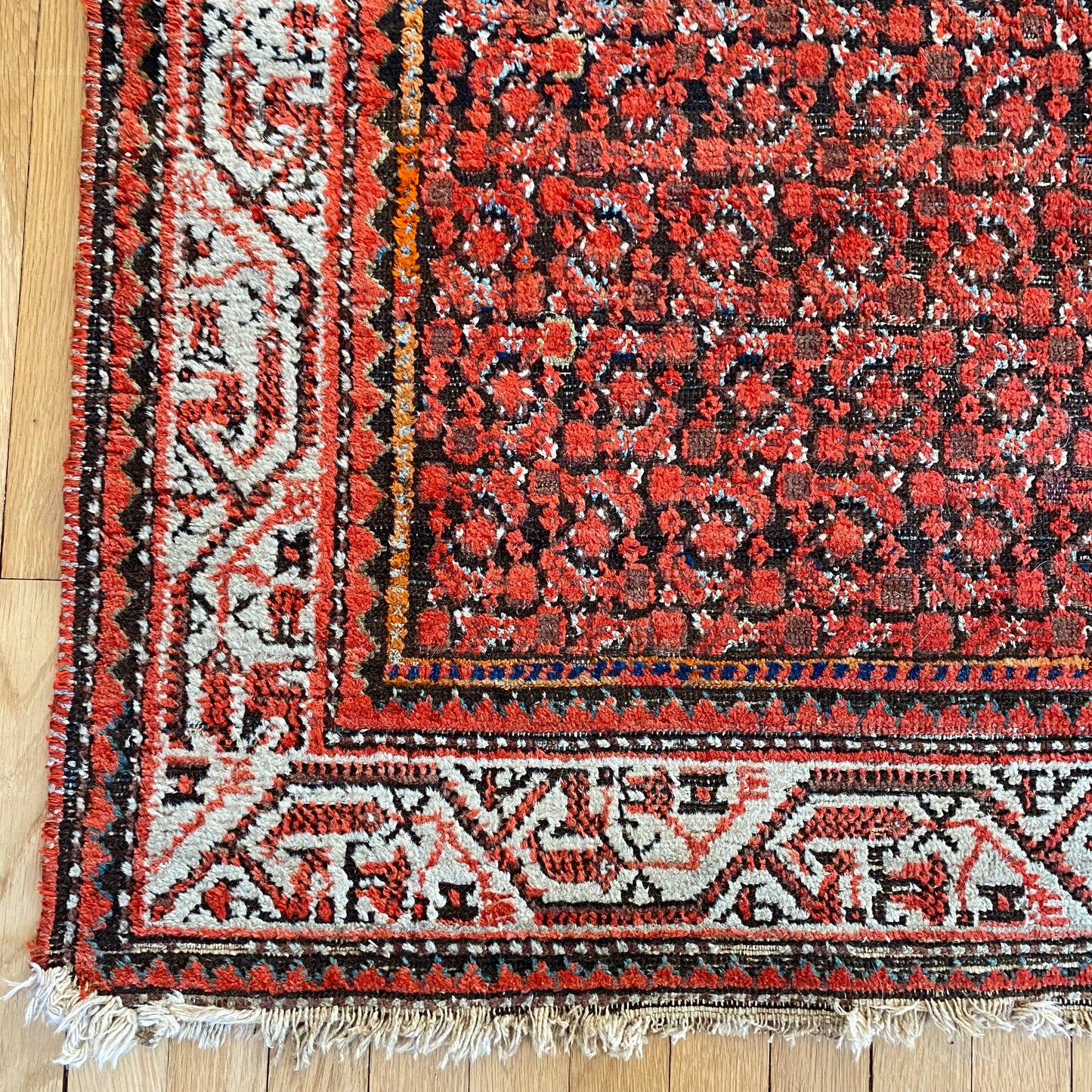 4273 - Jessie's Oriental Rugs