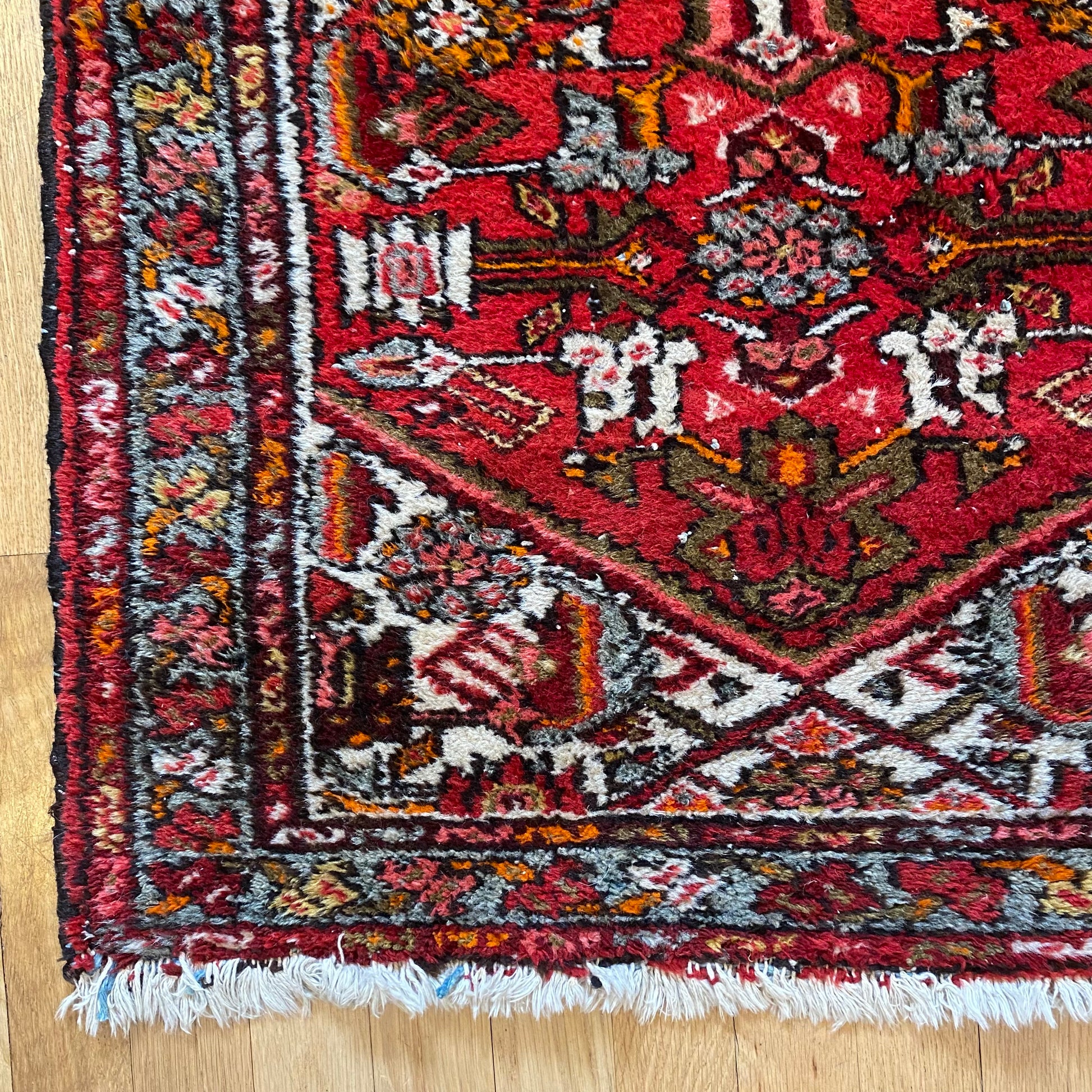 4271 - Jessie's Oriental Rugs