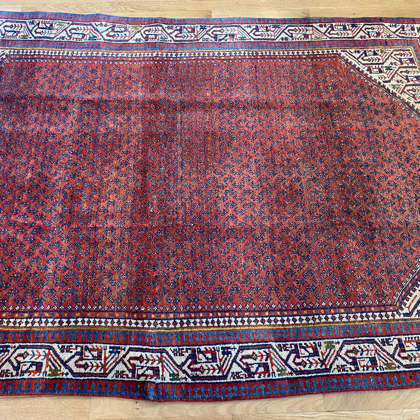 Persian Rug, 4' 6 x 6' 7 Rust