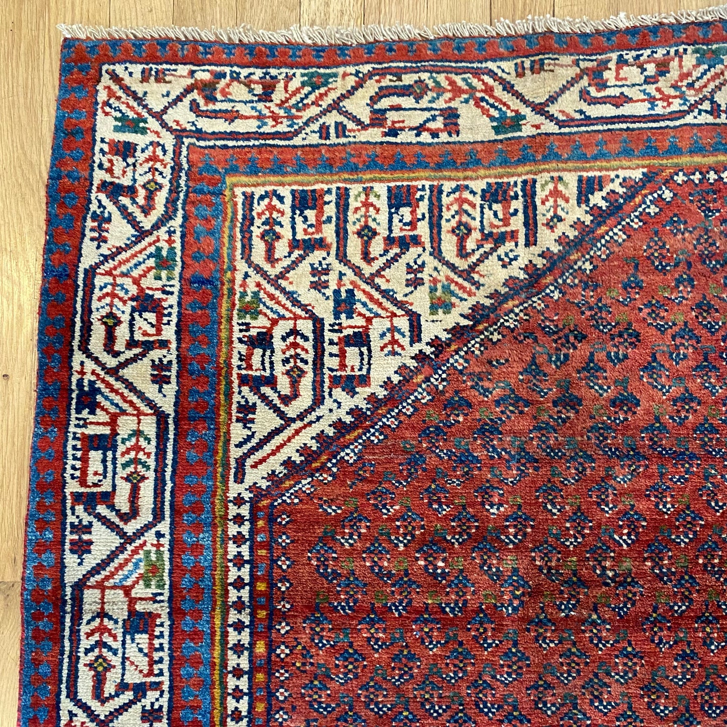 Persian Rug, 4' 6 x 6' 7 Rust