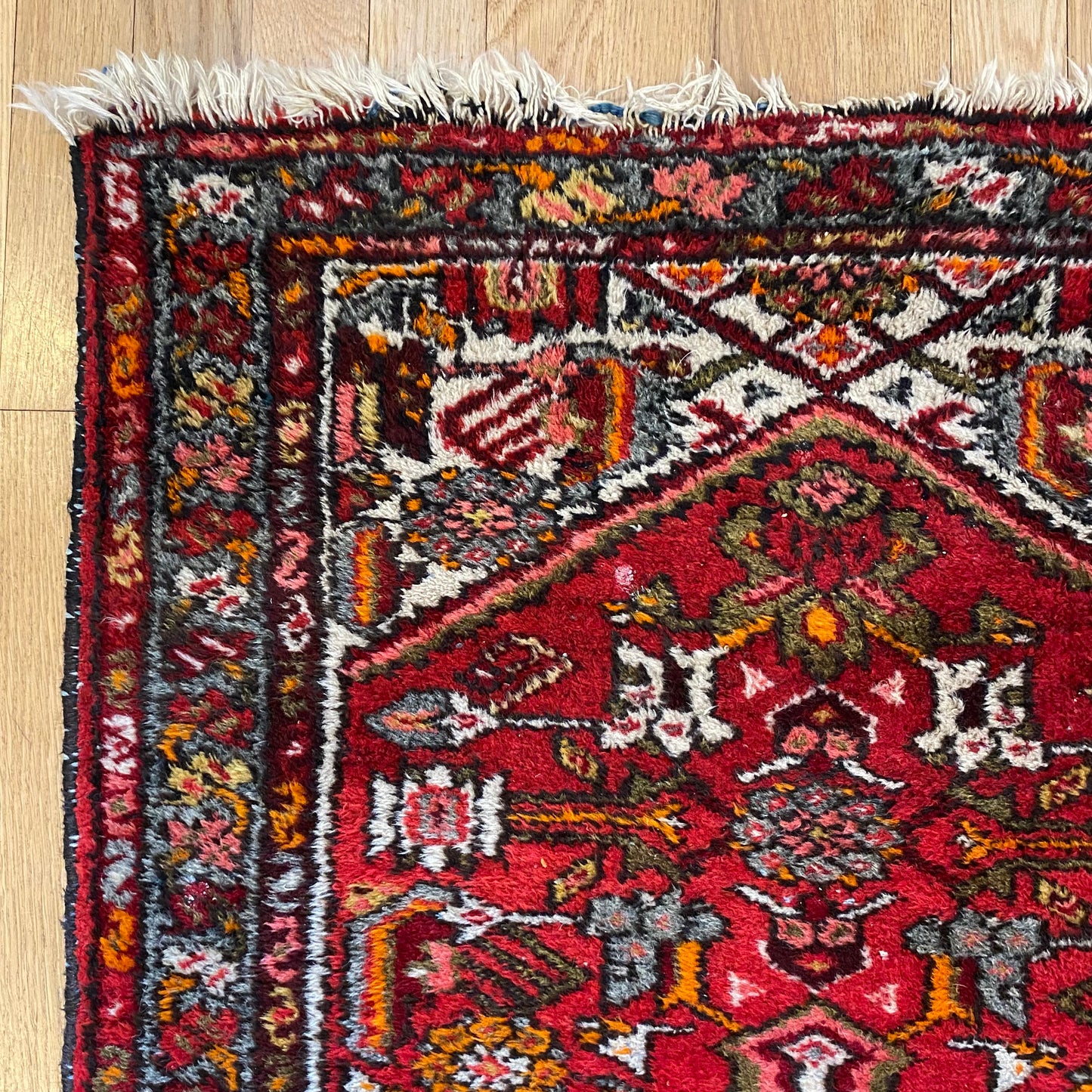 4271 - Jessie's Oriental Rugs