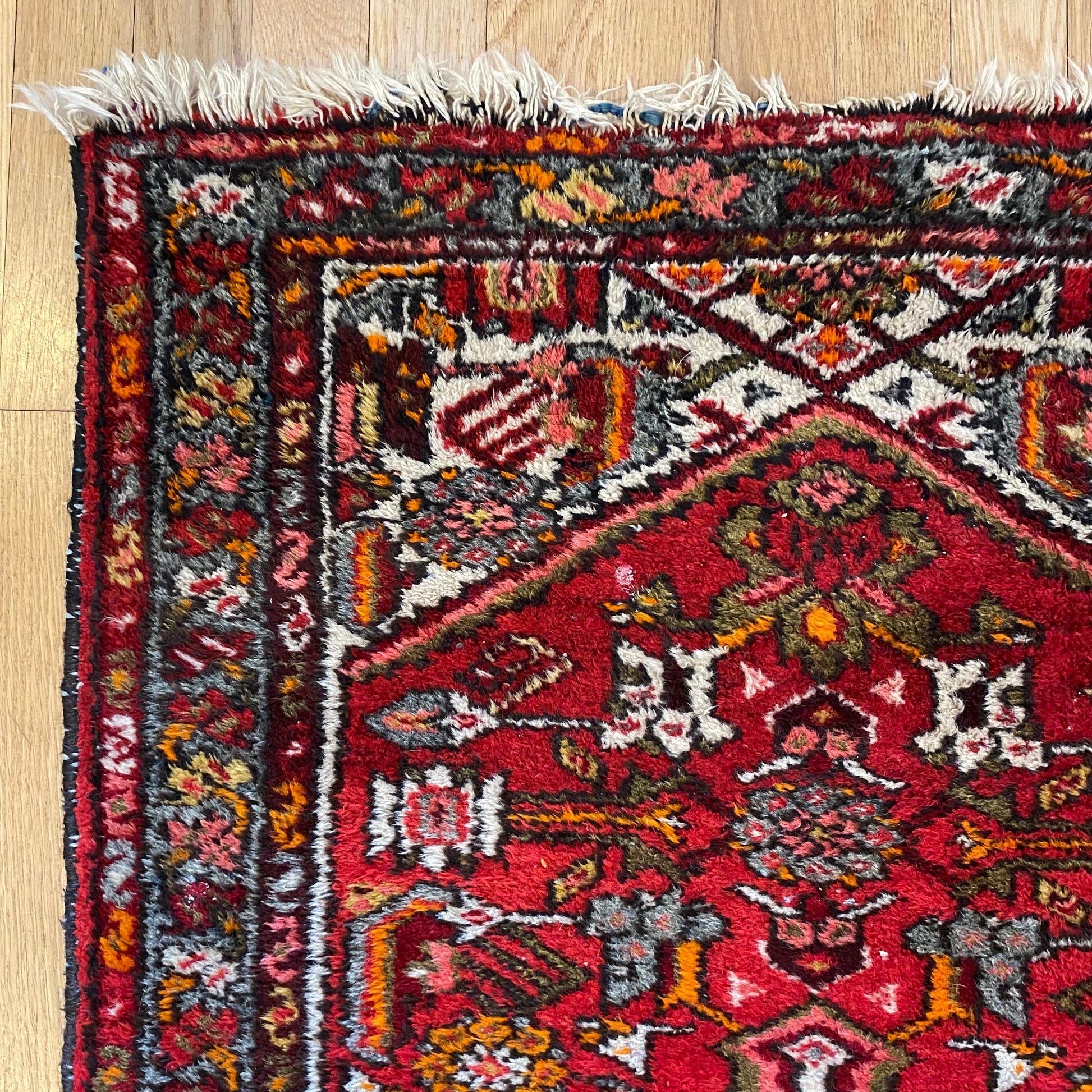 4271 - Jessie's Oriental Rugs