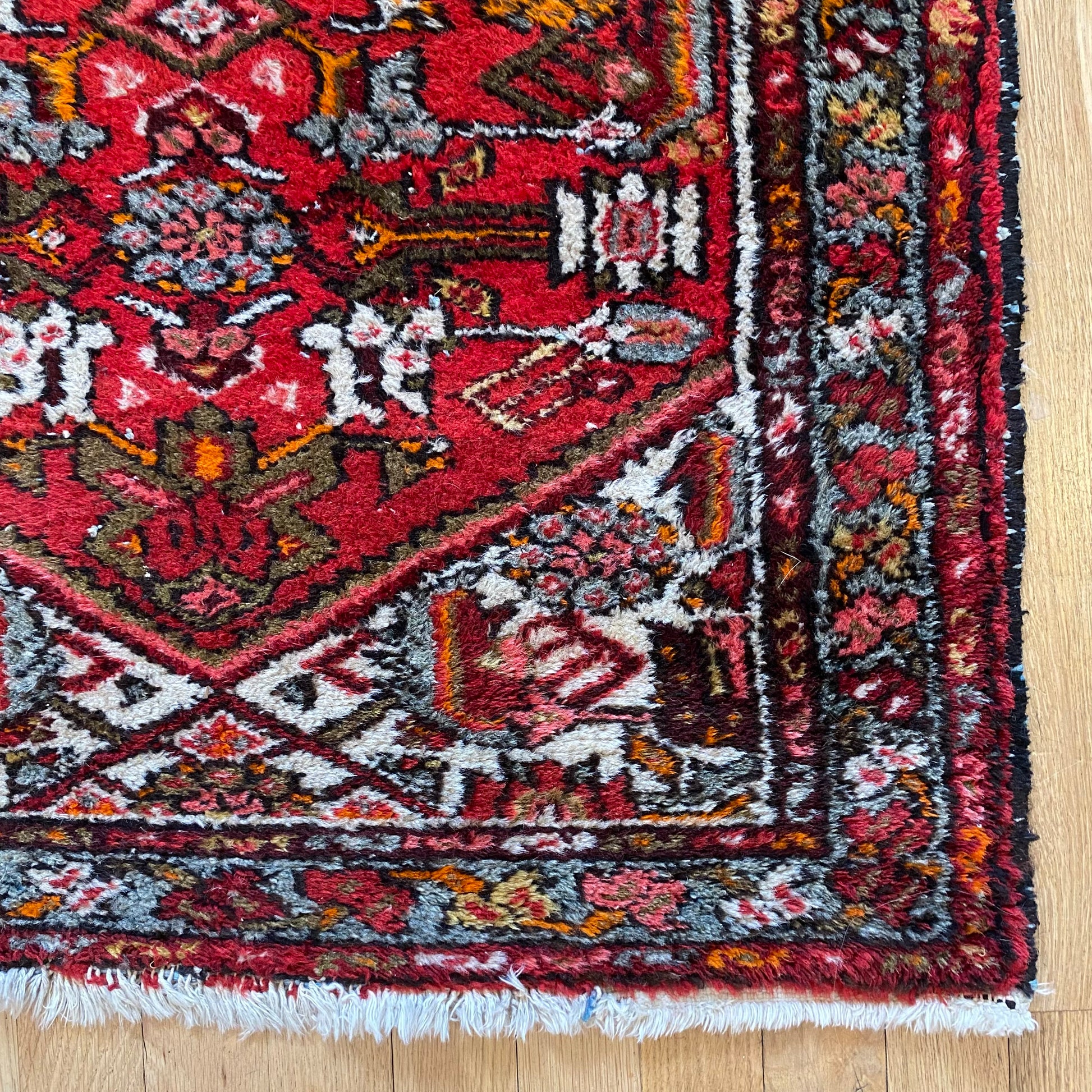 4271 - Jessie's Oriental Rugs