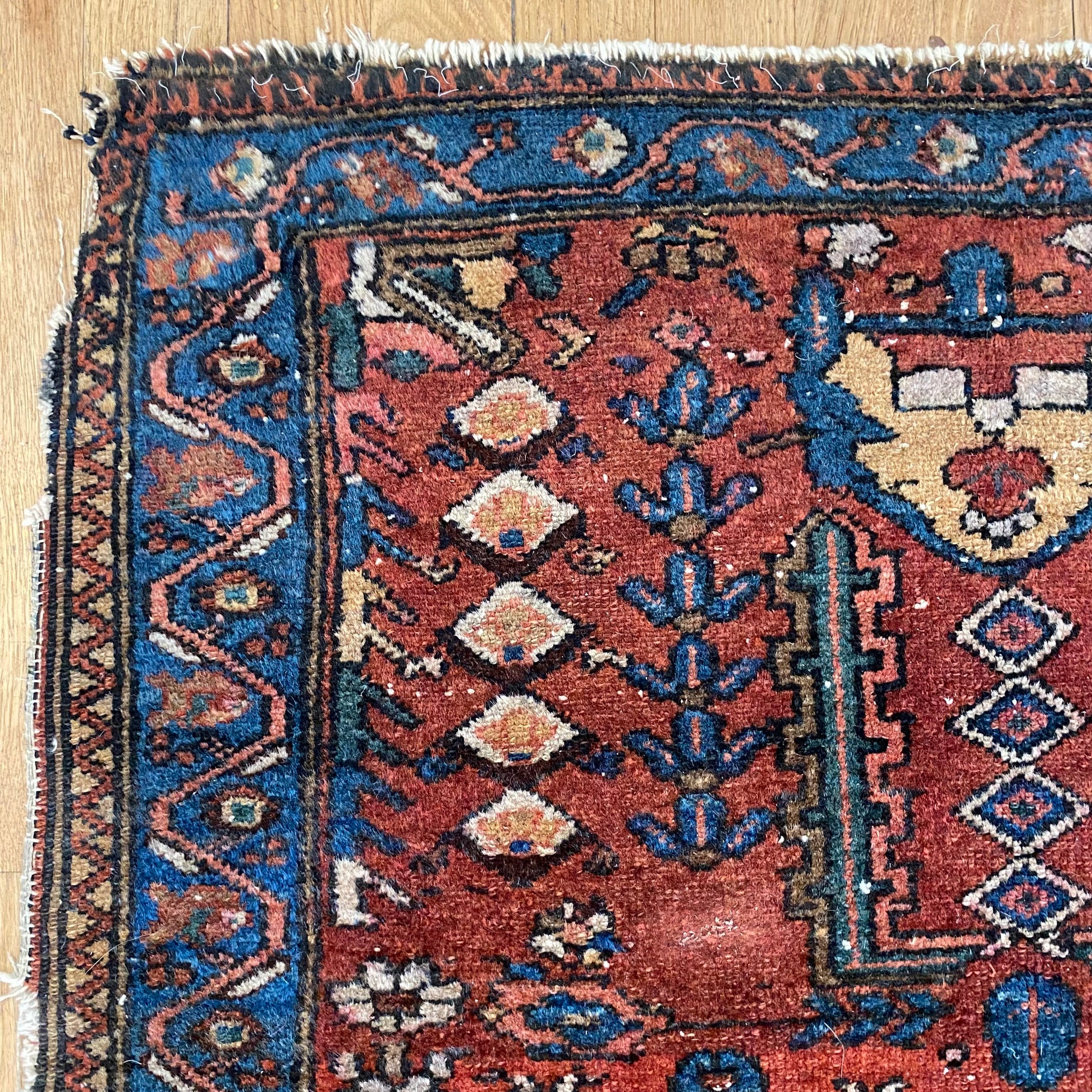 4275 - Jessie's Oriental Rugs