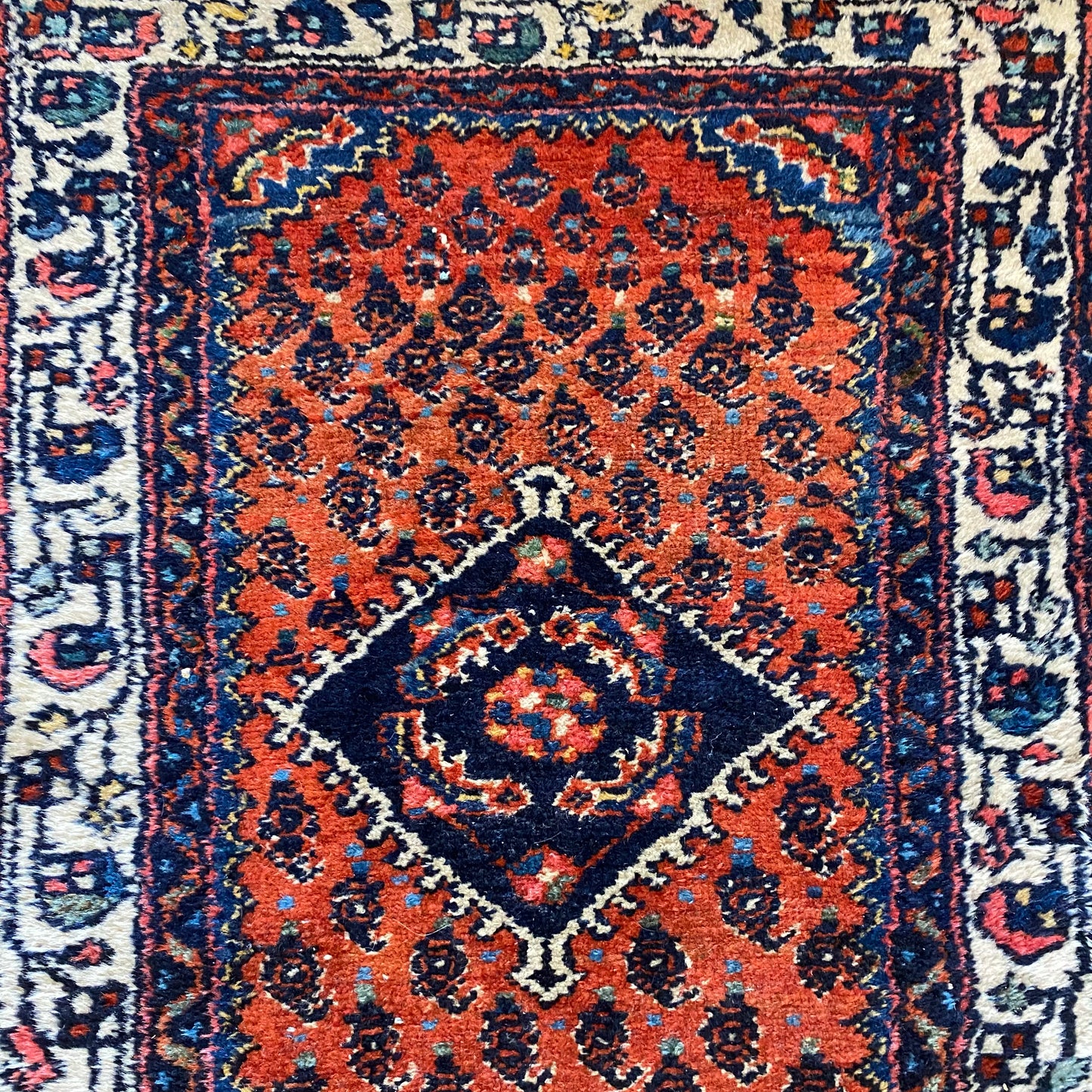 4270 - Jessie's Oriental Rugs