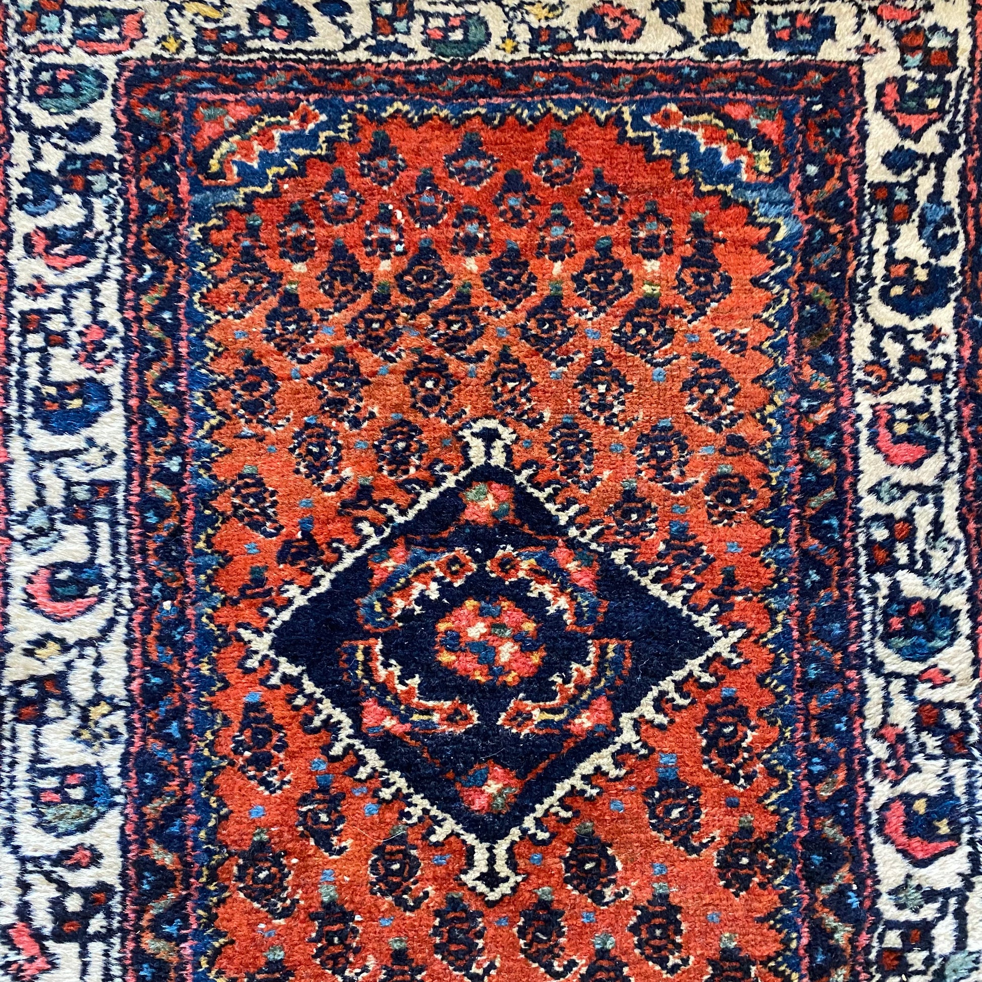 4270 - Jessie's Oriental Rugs