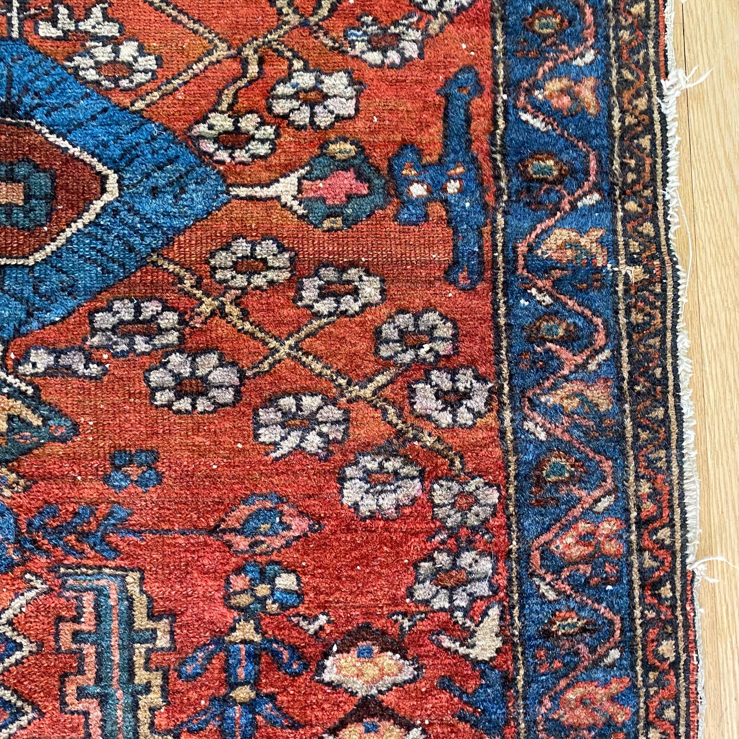 4275 - Jessie's Oriental Rugs