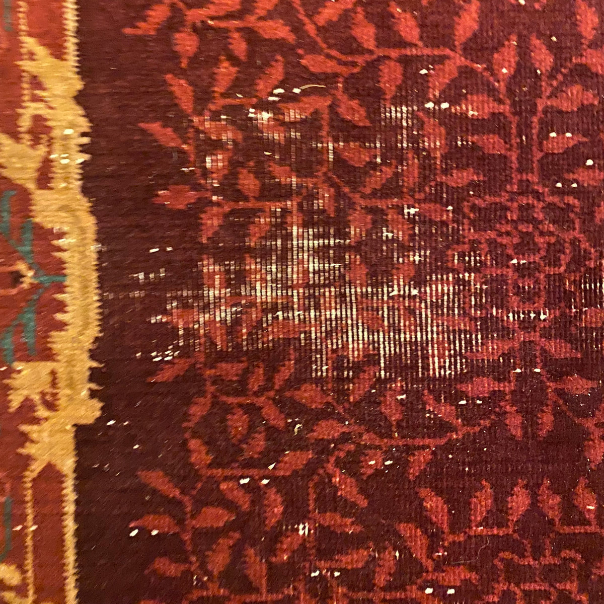 4442