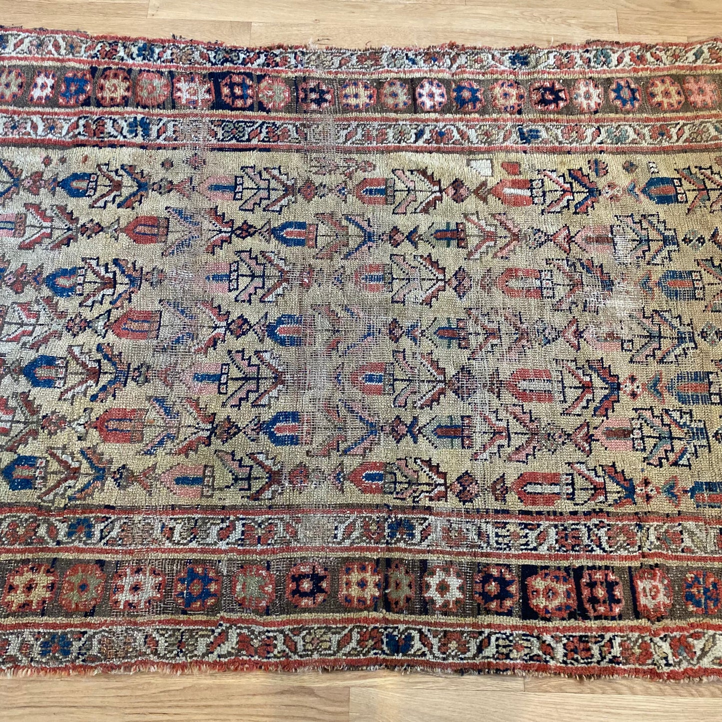 Antique Rug, 3' 10 x 7' 9 Soft Gold