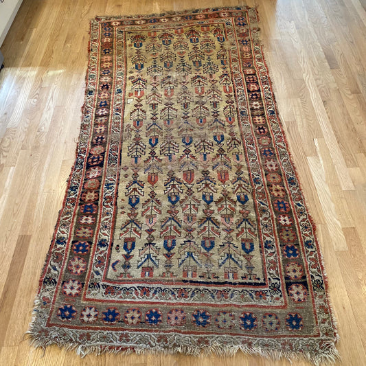 Antique Rug, 3' 10 x 7' 9 Soft Gold