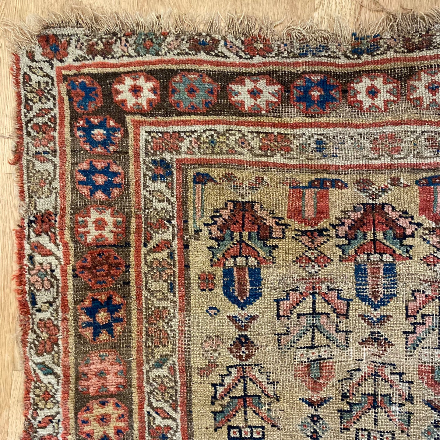 Antique Rug, 3' 10 x 7' 9 Soft Gold